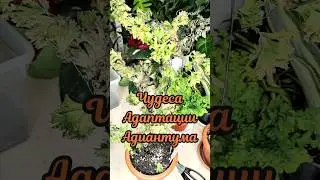 2 сентября 2024 г.