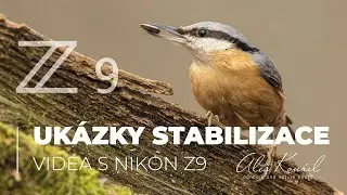 Test stabilizace Nikon Z9 - Natáčeno z ruky