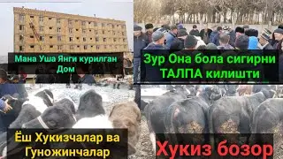Сурхондарё Узун МОЛ бозори нархлари. 28.11.2021й