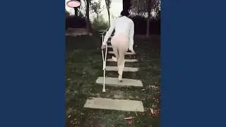 Chinese amputee girl crutching and hopping