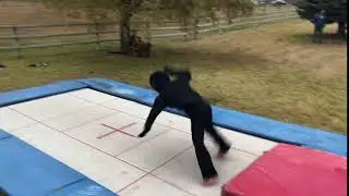 Bjorne