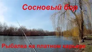 Fishing in Belyaevskie quarries, reconnaissance of the situation, and fishing in a paid quarry 02...