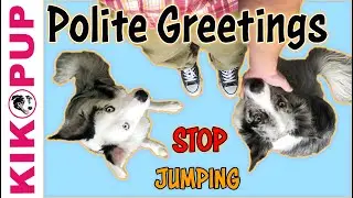 Polite Greetings - STOP Jumping