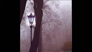 одинаково морозно