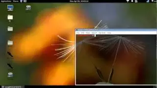Compiz Test Kali Linux 1.0.6 ..