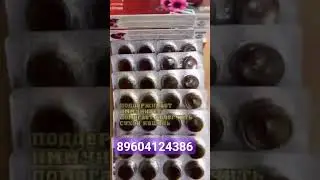 Леденцы для горла. Обращаться по номеру 89604124386