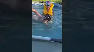 Адель с Элиной в басике