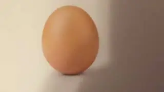 Egg