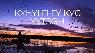 ҮҮТЭЭН | КҮҺҮҤҤҮ КУС 2024