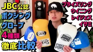 【with English lines】Compareing Fight Gloves from 4 Brands Including Winning and Cleto Reyes