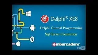 كيفية ربط قاعدة البيانات Sql Server مع برنامج الدلفي