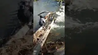 водопад