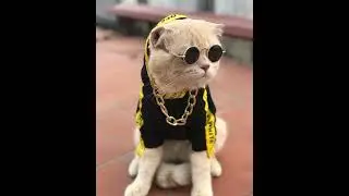 mamaamakriminal😎