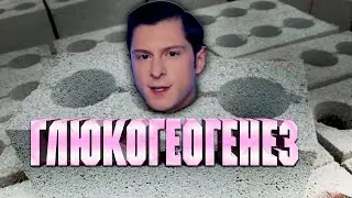 Реакция Апокрифа на обзор Андрея Блока про Шреддера. Питание!