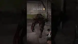 S.T.A.L.K.E.R. makes me scream