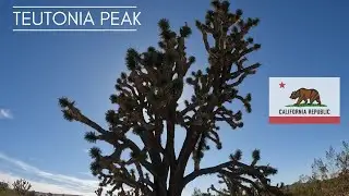 Teutonia Peak | Mojave National Preserve