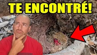 DUENDE REAL CAPTADO me ATACA NO ES DE ESTE MUNDO 8 | Laguna Negra