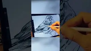 The Fundamentals of Drawing 