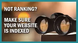 New Site Not Ranking? Make Sure It's Indexed