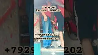 Краснодар Ташкент Автобус #автобус #тошкент #ростов #анапа #новороссийск #крим #геленджик #автобус