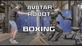 Avatar Robot Boxing: High-Speed & Impact-Resilient Teleoperation in Action!