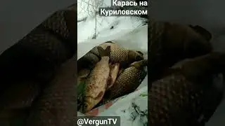 Зимняя рыбалка на убийцу в Куриловском котловане 