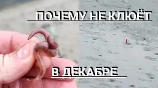 По чему не клюёт в декабре? Рыбалка в декабре