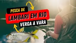 Pescaria de lambari em rio - Irmãos de Pesca.