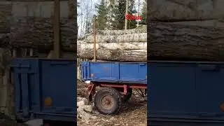 В лесу на МТЗ-82