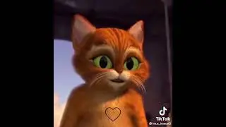 AWEEEE