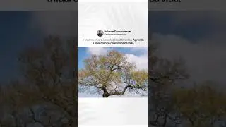 Aprender a lidar com as mudanças é fundamental para nosso crescimento pessoal. 🙌🏾 