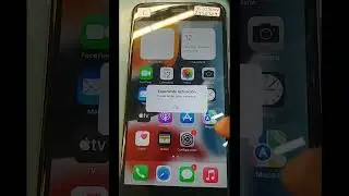 pro v30