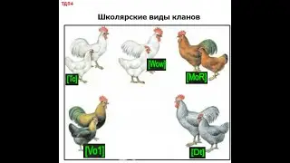 Виды кланов ТДП4