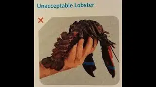 memes to watch while sorting lobsters
