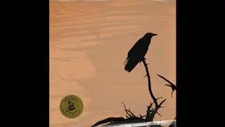 [Free Rap Beat] J Cole x Lute Type Beat 2021 - My Raven Weighs a Ton (prod. by freshnerd)