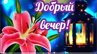 Для друзей пожелание доброго вечера!