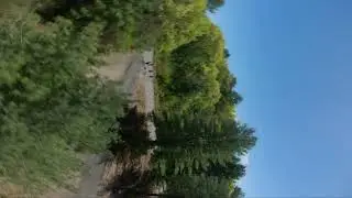 gravy's backyard