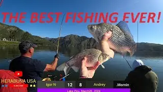 HERABUNA BEST FISHING EVER PART 2 - へら