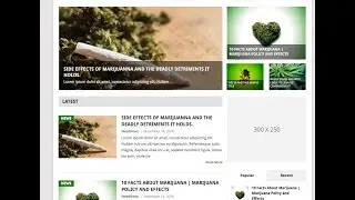 Creating a blog or news site using Wordpress, Free theme, Monetizing with ads.