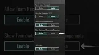How To Disable Spectating Companion In PUBG Mobile