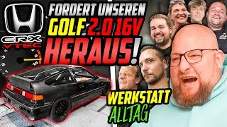 AKTUELLES aus der HALLE77! - Werkstattalltag - Marco nimmt EUCH mit!
