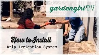 Vegetable Gardening: How to Install a Drip Irrigation System