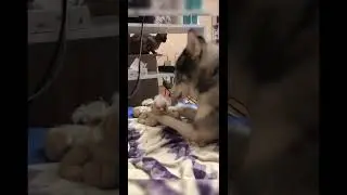 И тут не поспоришь! 😂
