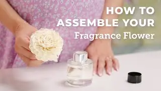 How to set up and style a Fragrance Flower | Scentsy