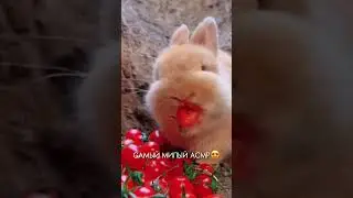 🥰