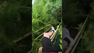 Running From Siren Head 