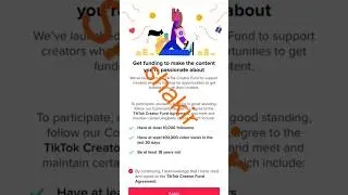 TikTok bita program ID monetize