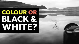 Colour or Black & White?? | A Great Start To 2024!