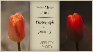 Paint Mixer Brush - Photo to Painting - Affinity Photo