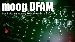 Moog DFAM Semi Modular Analog Percussion Synthesizer 8 Step Sequence Drum Pattern